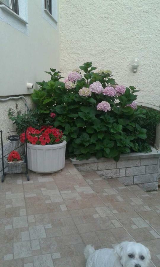 Apartman Danijela Zagorje Exterior foto